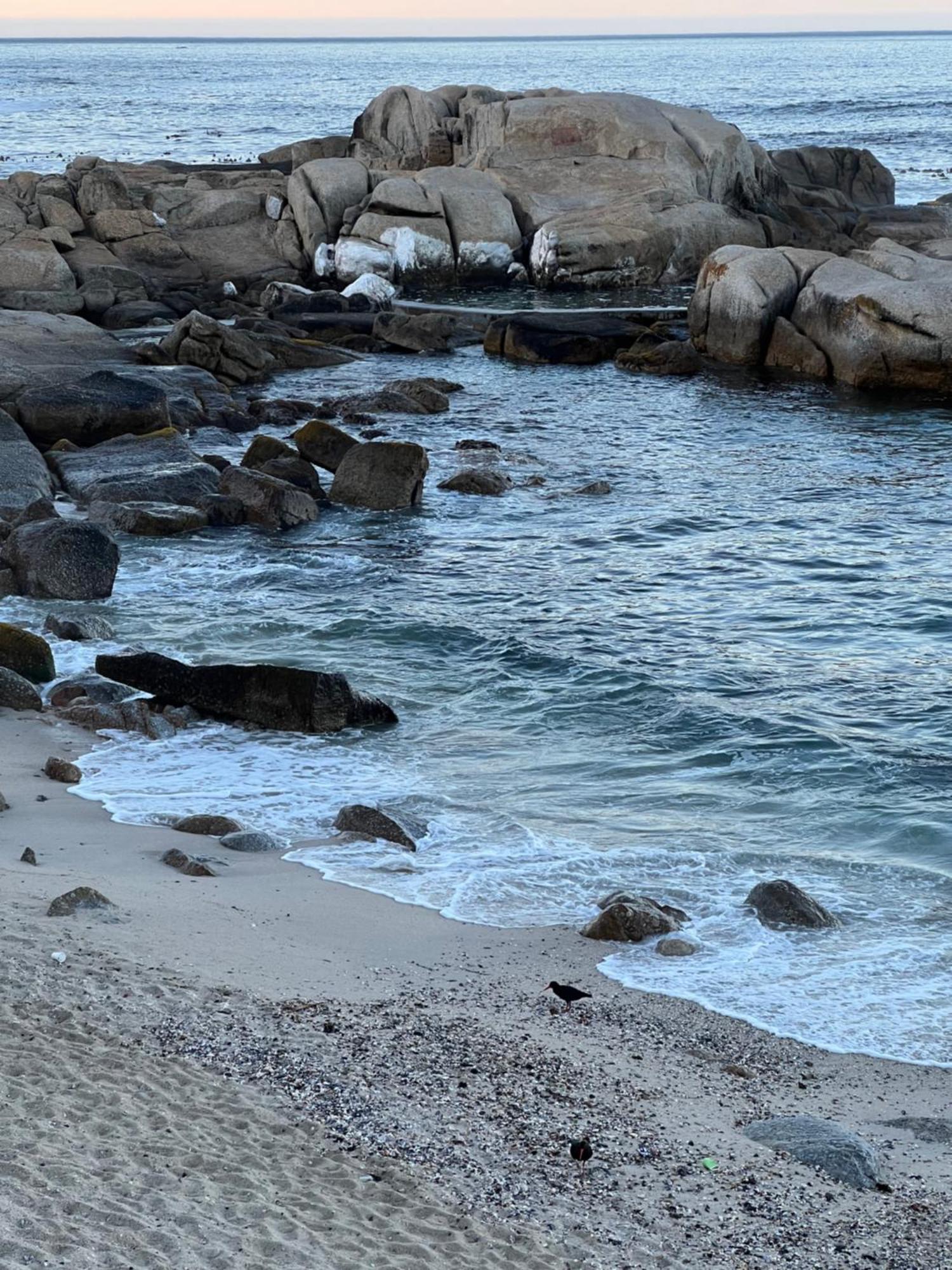 Sea Point Kingsgate No 10 Διαμέρισμα Κέιπ Τάουν Εξωτερικό φωτογραφία